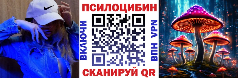 Псилоцибиновые грибы Psilocybine cubensis  цена   Балей 